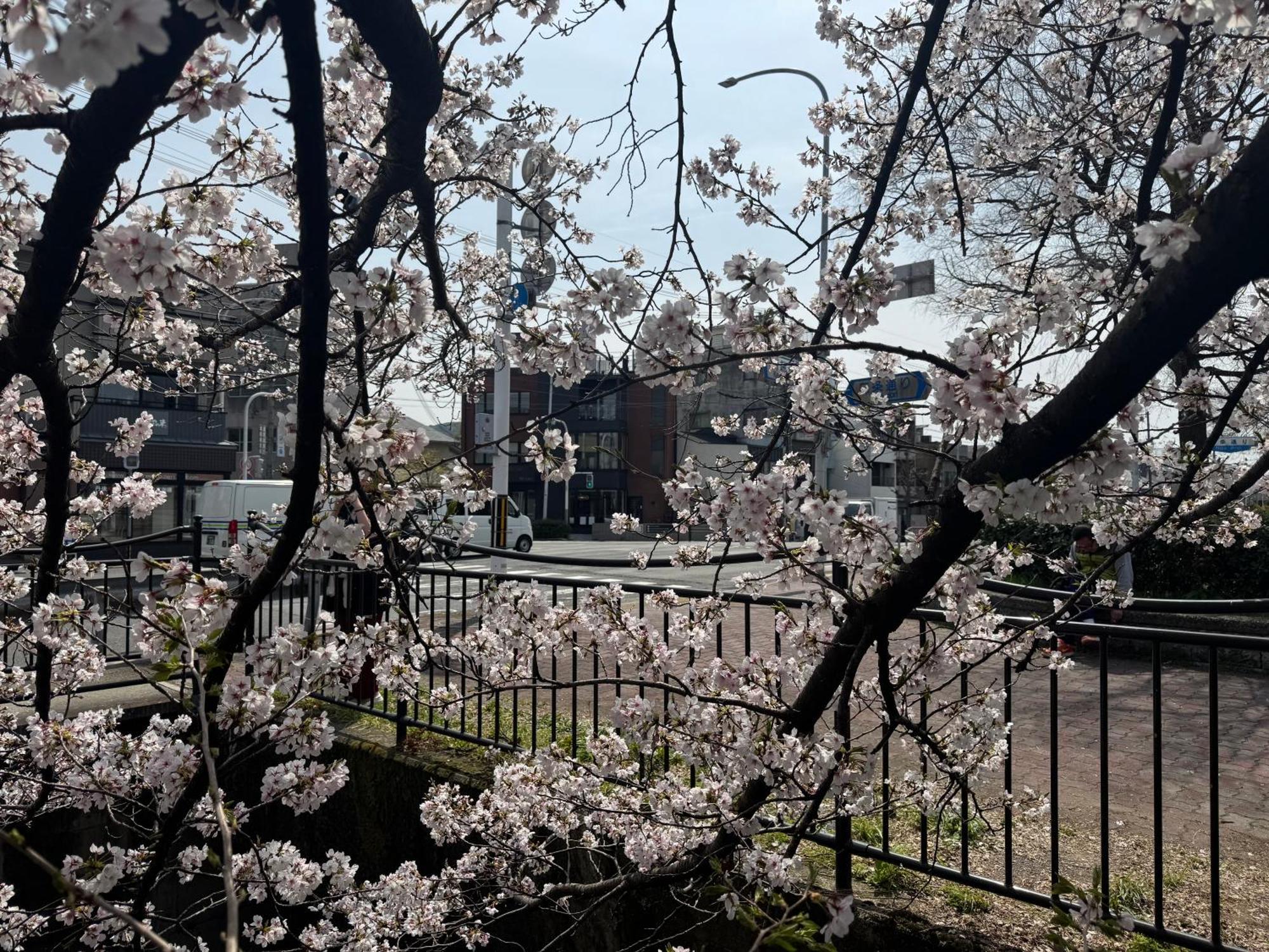 Mont-モン-Kamogawa Stay And Hotel 京都 外观 照片